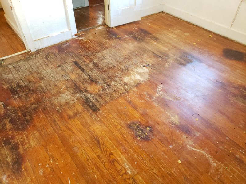 Subfloor Condition